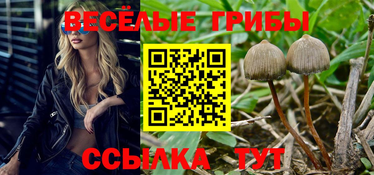 Галлюциногенные грибы прущие грибы Заволжье